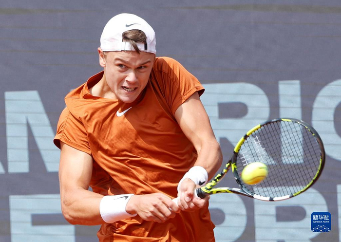 数据速览 数据速览